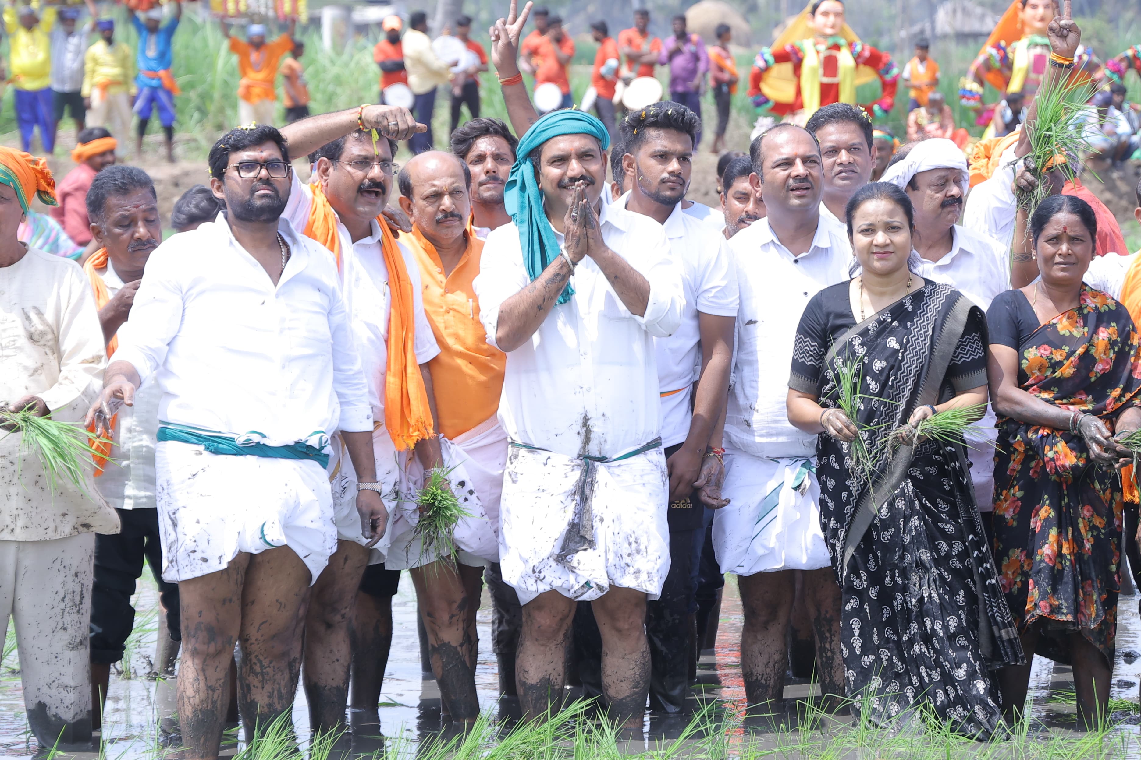 Paddy planting in Kotthatti village of Mandya district